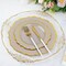 20 TAUPE 10.5" Round Plastic Dinner Plates GOLD Scalloped Rim